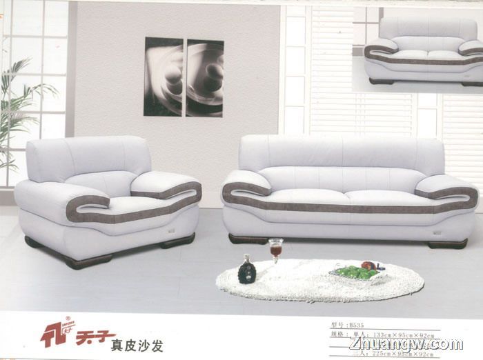 天子沙發(fā)家具圖片(九) 匠心工藝，盡顯客廳典雅風(fēng)范